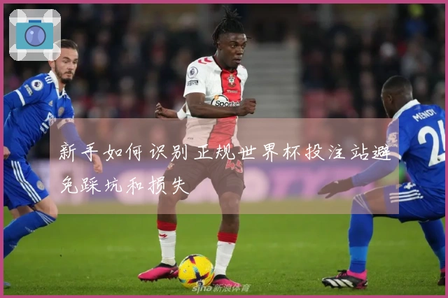 新手如何识别正规世界杯投注站避免踩坑和损失
