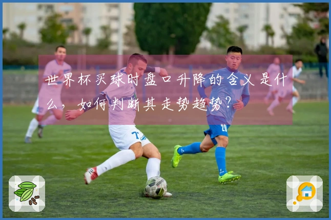 世界杯买球时盘口升降的含义是什么，如何判断其走势趋势？