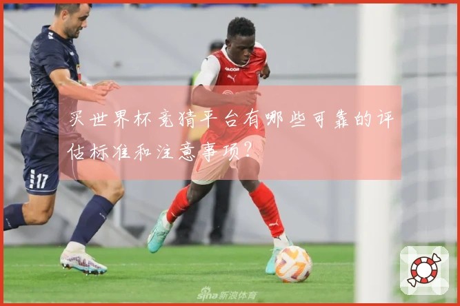 买世界杯竞猜平台有哪些可靠的评估标准和注意事项？