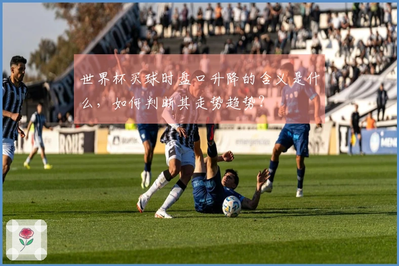 世界杯买球时盘口升降的含义是什么，如何判断其走势趋势？