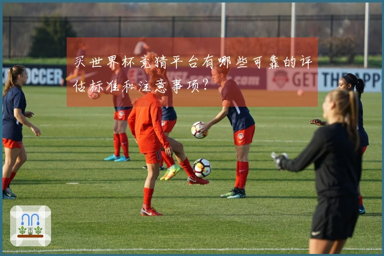 买世界杯竞猜平台有哪些可靠的评估标准和注意事项？