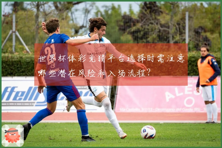 世界杯体彩竞猜平台选择时需注意哪些潜在风险和入场流程？