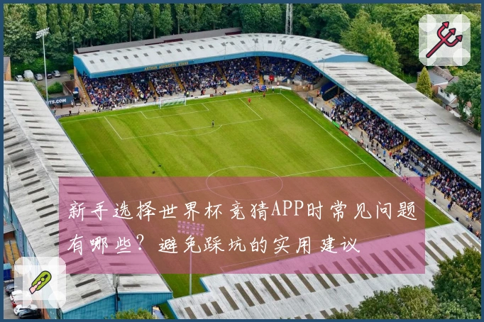 新手选择世界杯竞猜APP时常见问题有哪些？避免踩坑的实用建议