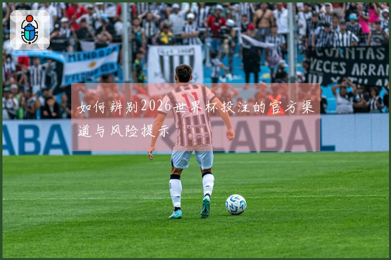如何辨别2026世界杯投注的官方渠道与风险提示