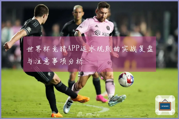 世界杯竞猜APP返水规则的实战复盘与注意事项分析