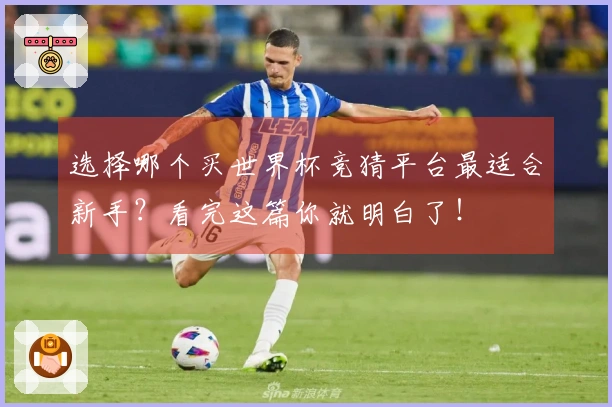 选择哪个买世界杯竞猜平台最适合新手？看完这篇你就明白了！
