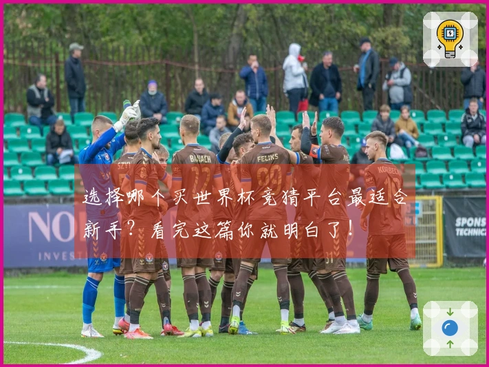 选择哪个买世界杯竞猜平台最适合新手？看完这篇你就明白了！