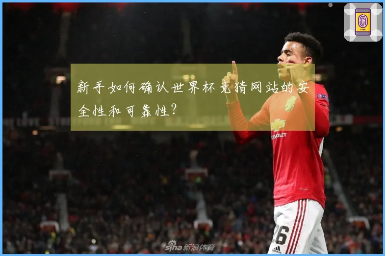新手如何确认世界杯竞猜网站的安全性和可靠性？