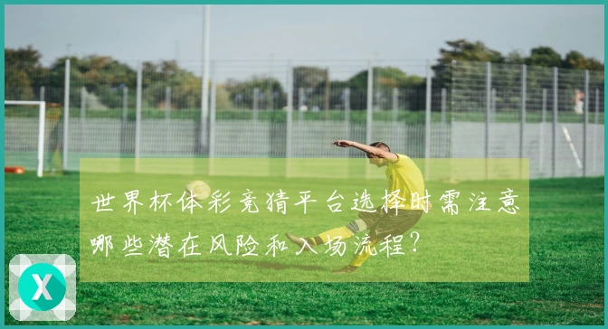 世界杯体彩竞猜平台选择时需注意哪些潜在风险和入场流程？