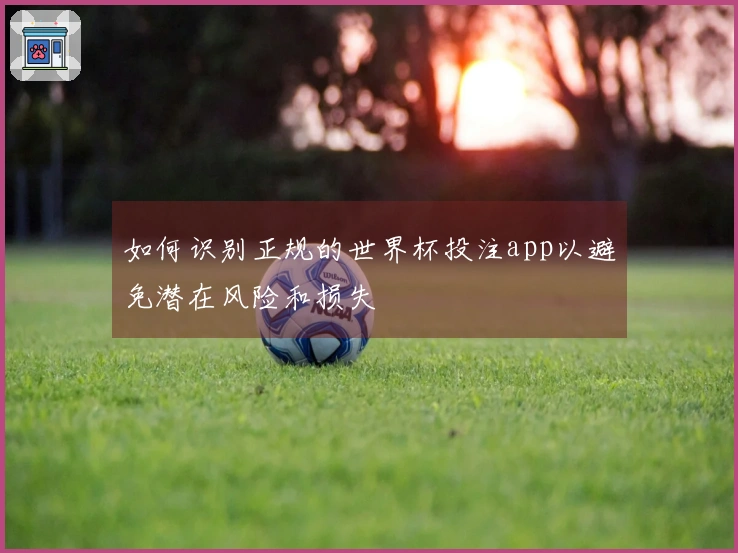 如何识别正规的世界杯投注app以避免潜在风险和损失