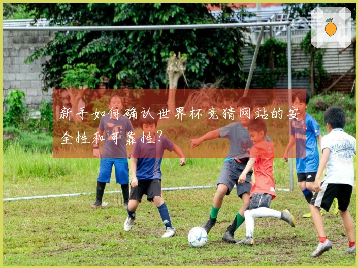新手如何确认世界杯竞猜网站的安全性和可靠性？