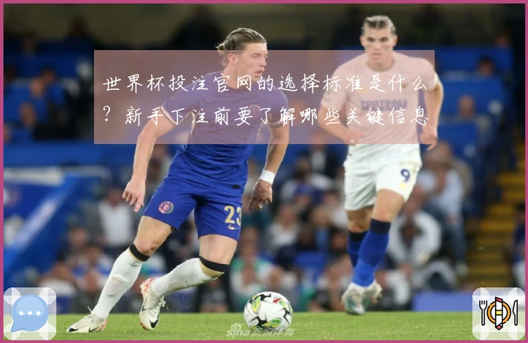 世界杯投注官网的选择标准是什么？新手下注前要了解哪些关键信息？