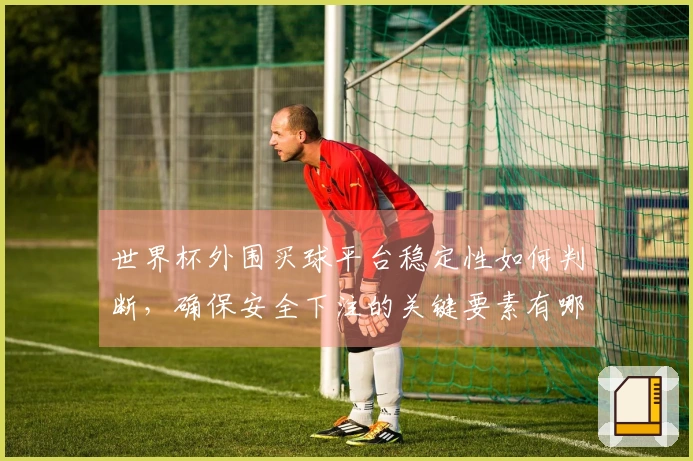 世界杯外围买球平台稳定性如何判断，确保安全下注的关键要素有哪些