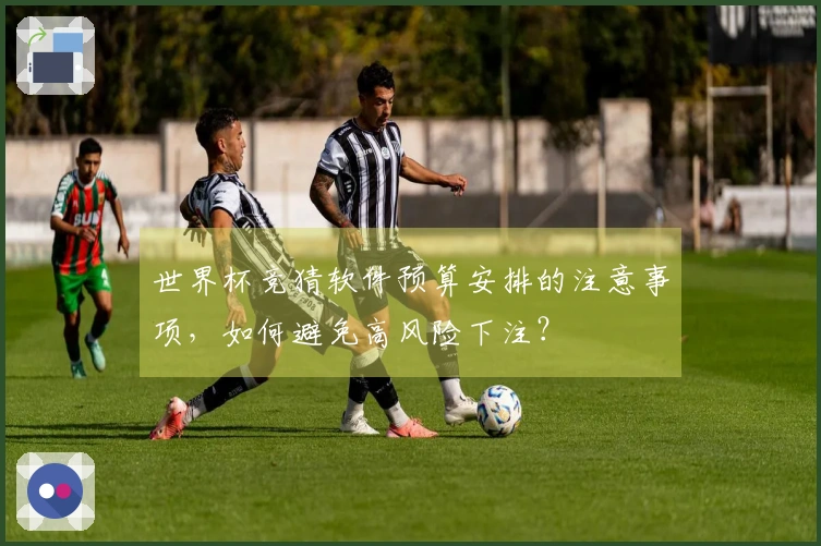 世界杯竞猜软件预算安排的注意事项，如何避免高风险下注？