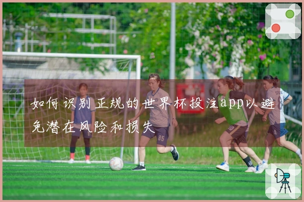 如何识别正规的世界杯投注app以避免潜在风险和损失