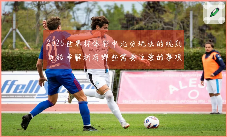2026世界杯体彩中比分玩法的规则与赔率解析有哪些需要注意的事项？